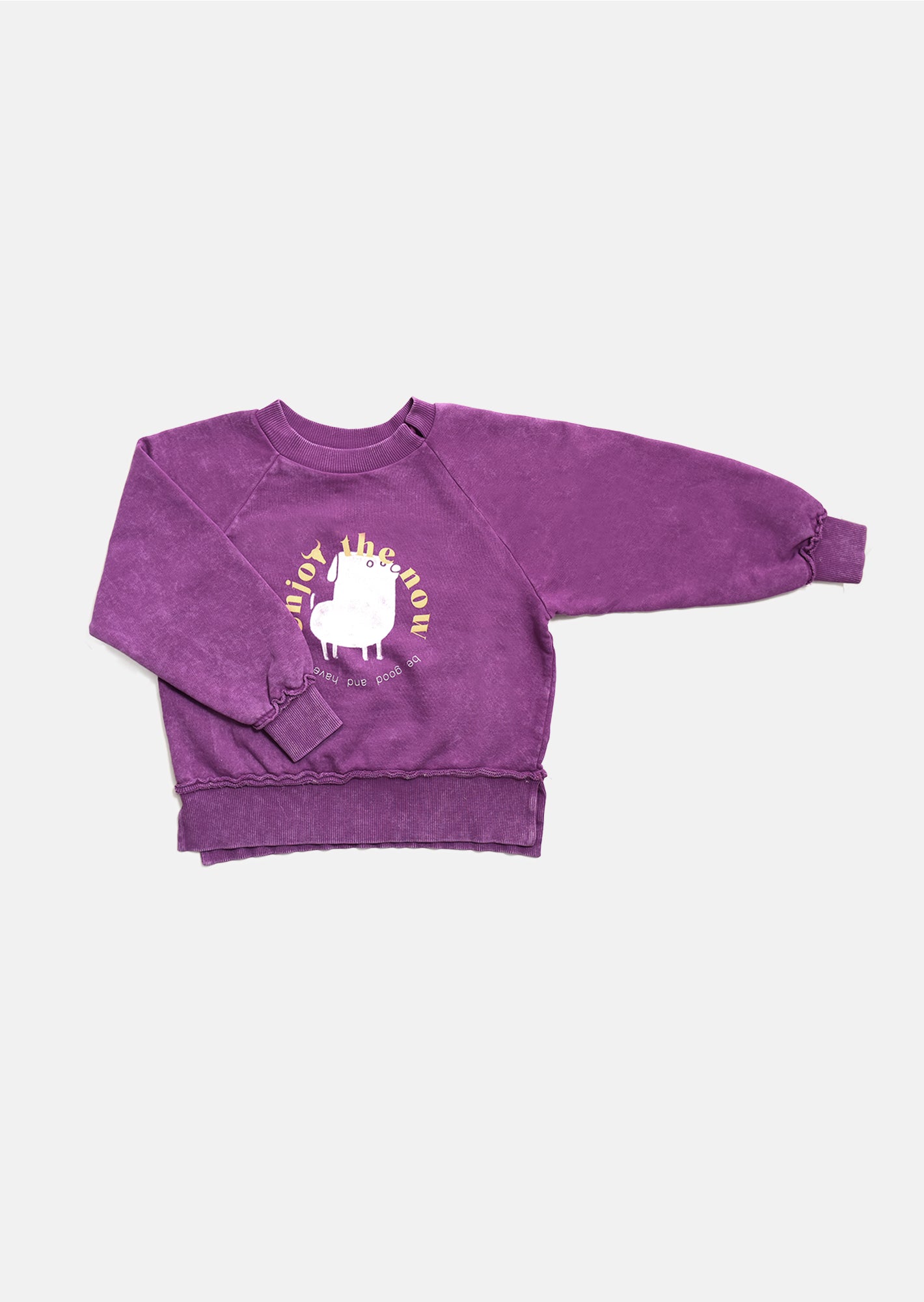 bluza dziecięca- PURPLE DOG SWEATSHIRT purple