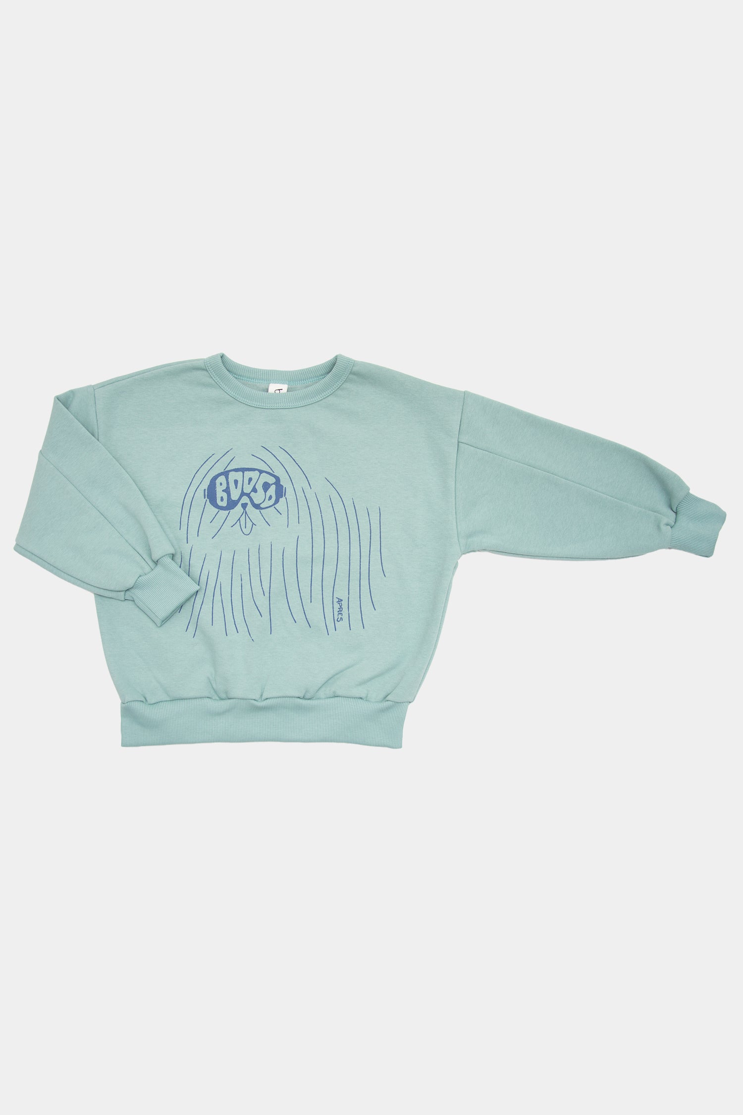 bluza dziecięca- WARM DOG SWEATSHIRT mint