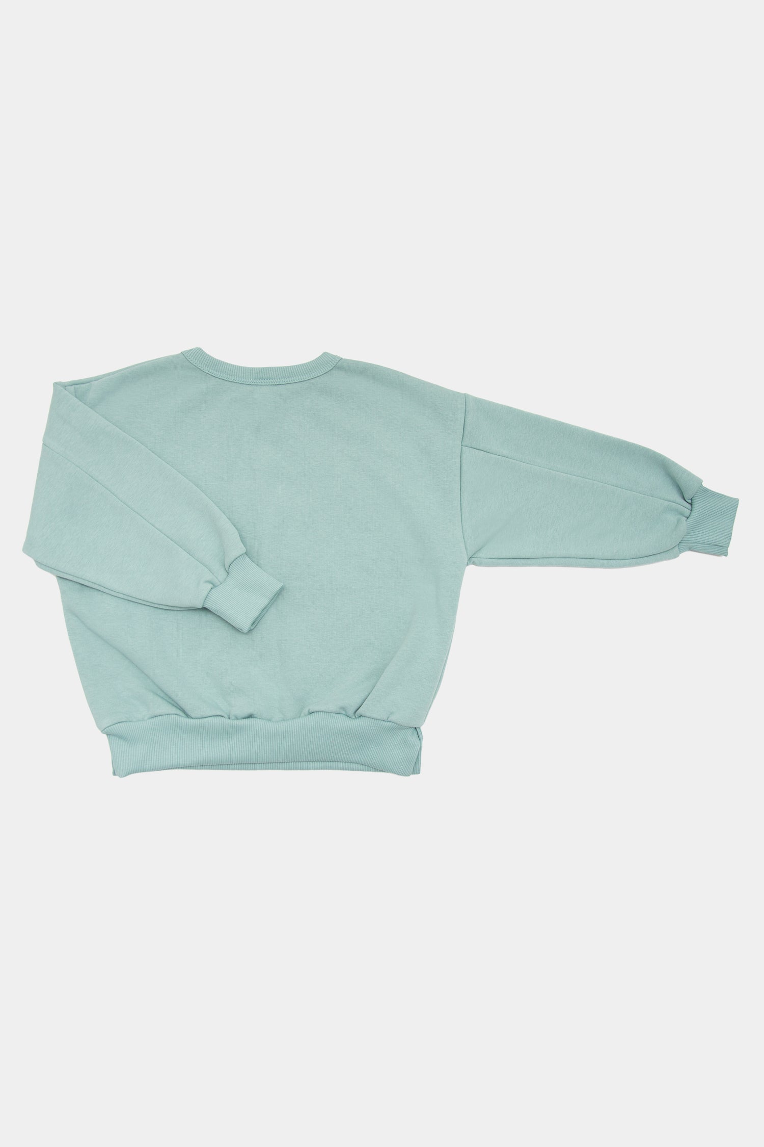 bluza dziecięca- WARM DOG SWEATSHIRT mint