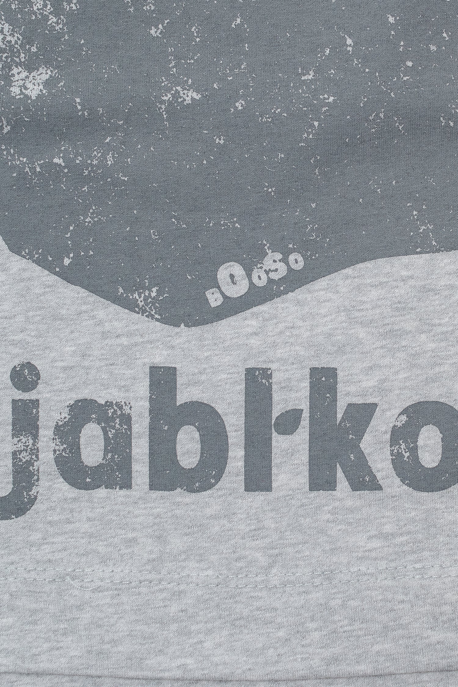 koszulka dziecięca- APPLE TOP gray marl